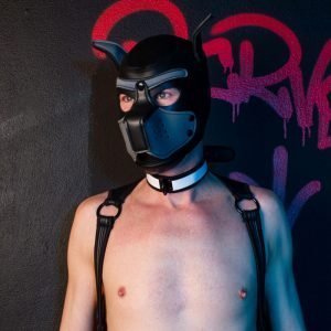 Puppy Masker Zwart/Grijs met Halsband Zwart/Wit